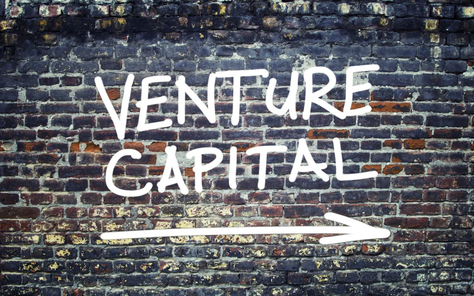 Venture Capital